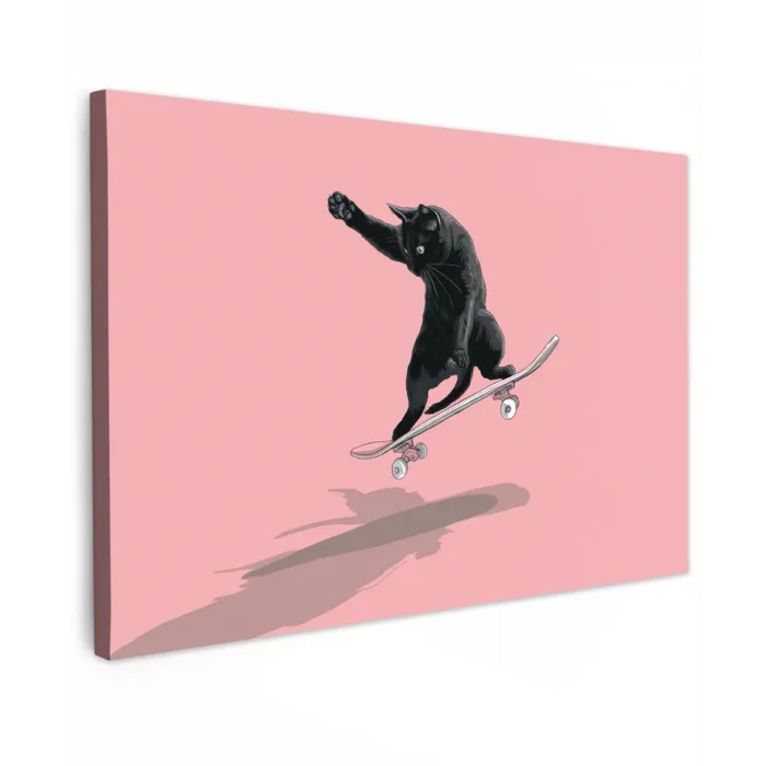 Kat - Skateboard - Roze canvas 2cm klein -z3d