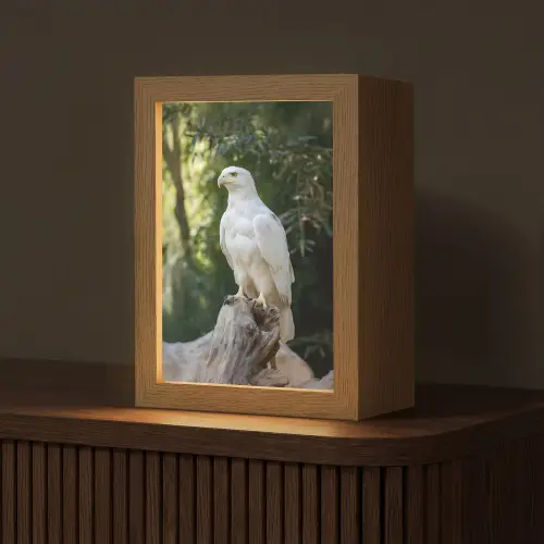 Arend - Hout - Wit - Planten Light Box met kabel (Tafellamp) klein -z3d_website