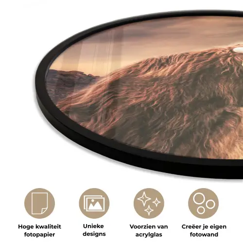Schotse hooglander - Zon - Horizon - Koe - Dieren Fotolijst rond zonder passe partout klein -closeup_NL