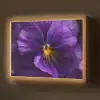 Paars - Viool - Diepte Light Box met batterij (Wandlamp) middel -z3d_website