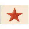 Zeester - Bobbels - Rood poster papier klein -3d