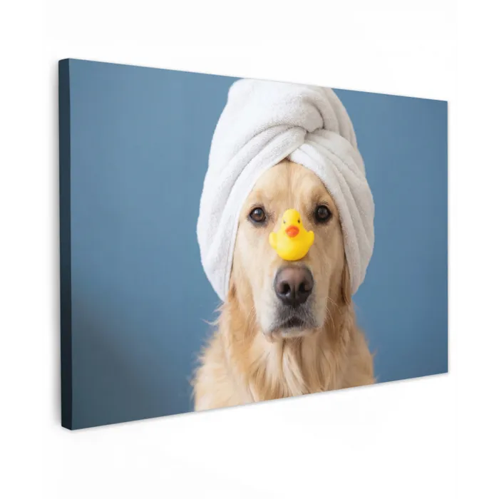 Hond - Badeend - Geel canvas 2cm klein -z3d