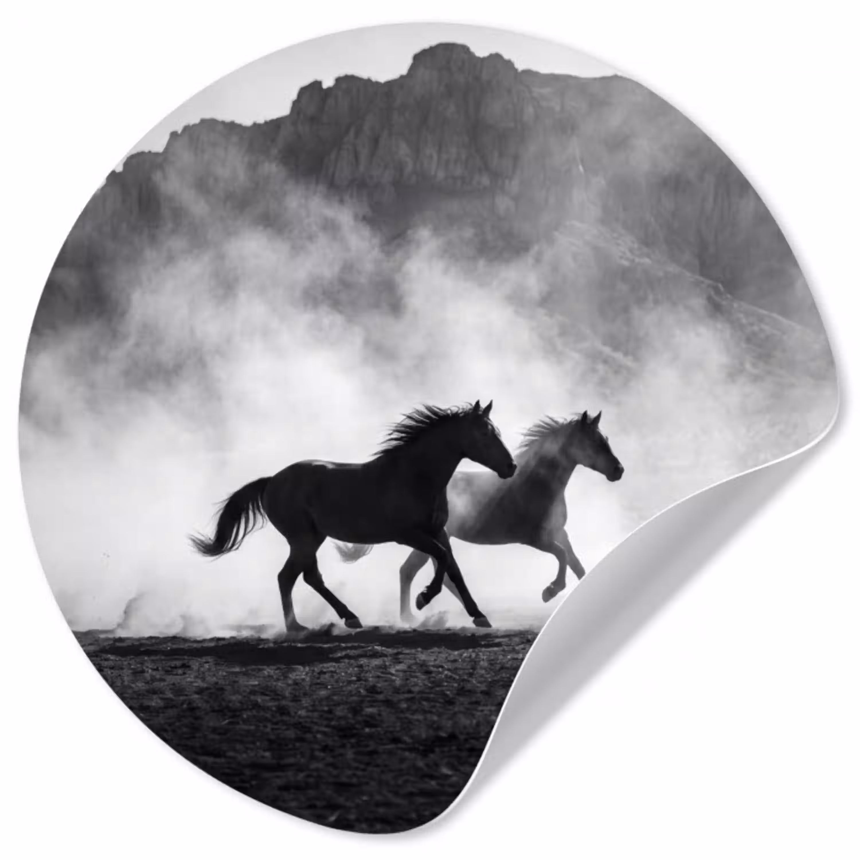 Paard - Ren - Stof - Zwart-wit - Dieren Wandcirkel behangsticker klein -3d