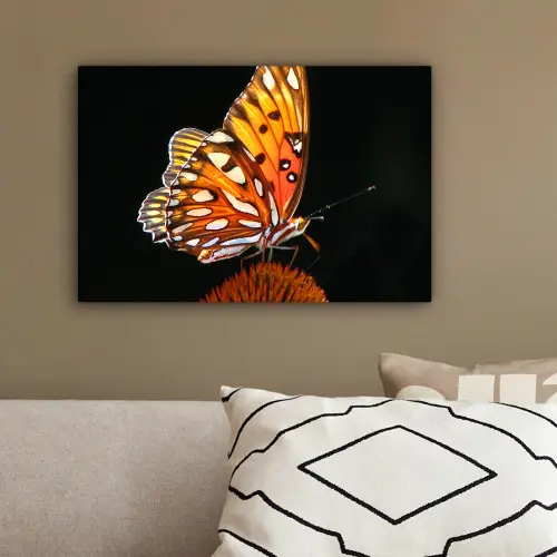 Vlinder - Bloemen - Insect - Portret - Zwart - Oranje canvas 2cm klein -sfeer3