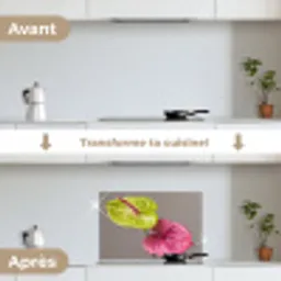 Planten - Anthurium - Groen - Roze keuken achterwand spatscherm klein -voor_na_FR