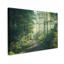 Bos - Pad - Zon - Bomen - Groen - Natuur canvas 2cm klein -z3d