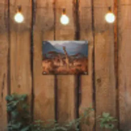 Giraffen - Hoog gras - Acaciabomen tuinposter los doek klein -sfeer1