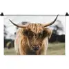 Schotse Hooglander -  Koe - Gras - Dieren - Natuur Wandkleed katoen klein -zz3d