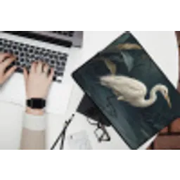 Reiger - Water - Natuur - Modern - Wit laptophoes neopreen klein -bureau