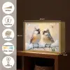 Vogels - Tak - Winter - Sneeuw Light Box met batterij (Wandlamp) middel -USP_websiteoverzichtNL