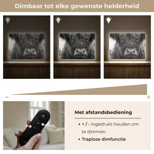 Schotse hooglander - Zwart - Wit - Sneeuwvlokken Light Box met batterij (Wandlamp) middel -USP_dimbaarNL