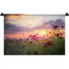 Bloemen - Roze - Zonsondergang - Natuur - Weide - Horizon Wandkleed katoen klein -zz3d