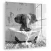Olifant - Vintage - Dieren - Zwart - Wit plexiglas 5mm klein -zzzproduct_nieuw