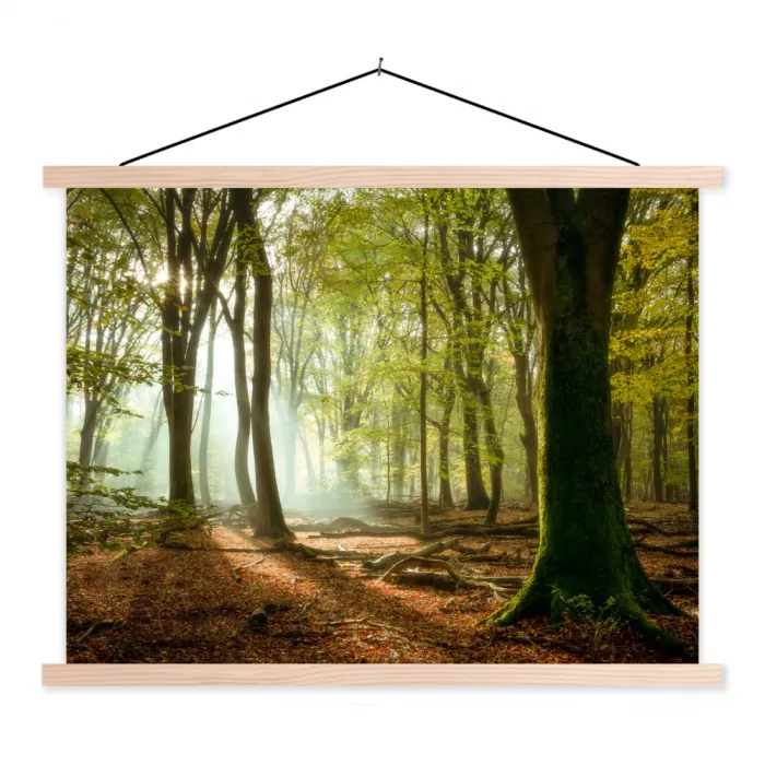 Bos - Zon - Seizoenen - Landschap textielposter latten blank klein -3d