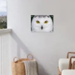 Sneeuwuil - Portret - Geel tuinposter los doek klein -sfeer8