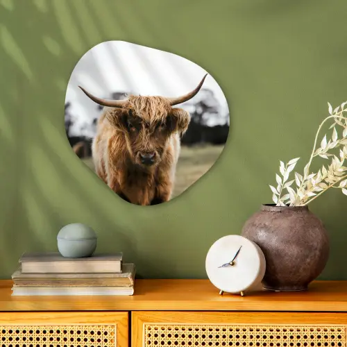 Schotse Hooglander -  Koe - Gras - Dieren - Natuur Wandcirkel Organisch Forex 3mm klein -sfeer2