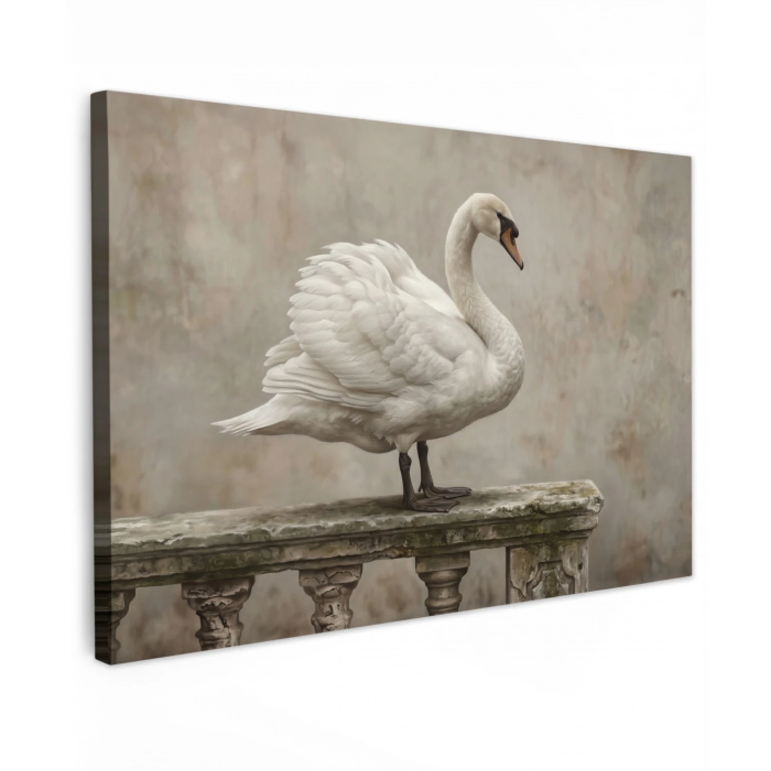 Zwaan - Elegant - Dieren - Wit canvas 2cm klein -z3d