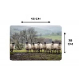 Schapen - Rij - Weide - Dieren - Platteland Placemat vinyl groot -specs