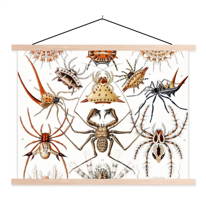 Retro - Ernst Haeckel - Insecten - Tuinposter - Tuin textielposter latten blank klein -3d