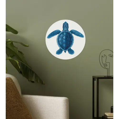Schildpad - Blauw - Schild Wandcirkel behangsticker klein -sfeer2