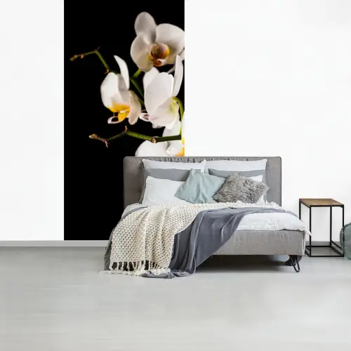 Orchidee - Bloemen - Planten - Botanisch fotobehang vinyl groot -slaapkamer