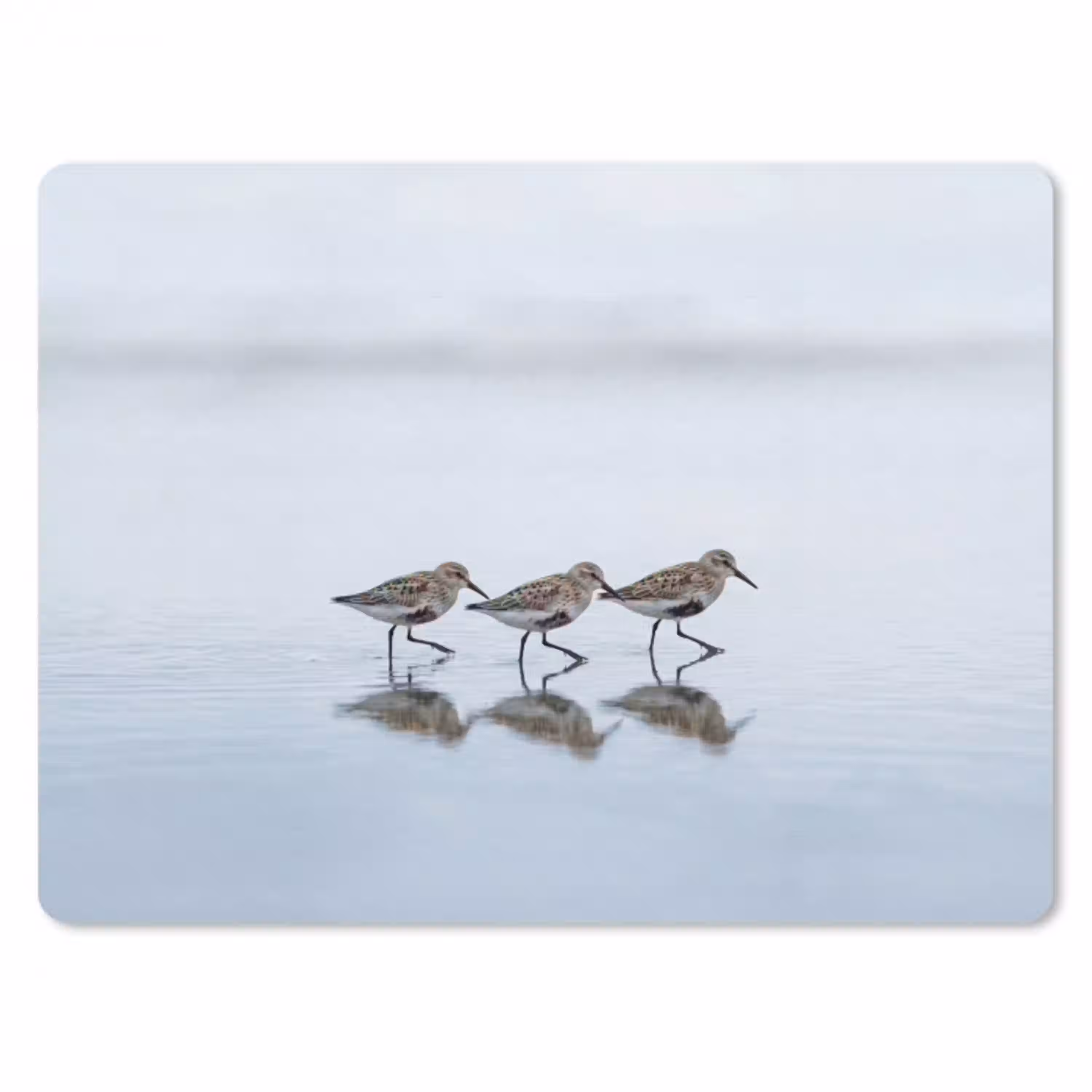 Vogels - Water - Grijs muismat rubber klein -3d