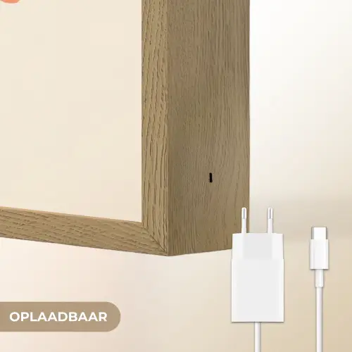 Vaas - Bloemen - Boeket Light Box met batterij (Wandlamp) middel -USP_websiteoplaadbaarNL