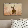 Hert - Gras - Herfst - Dieren - Natuur - Gewei canvas 2cm klein -sfeer3