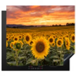 Zonnebloemen - Heuvellandschap - Geel Inductie beschermer vinyl 3mm middel -3d