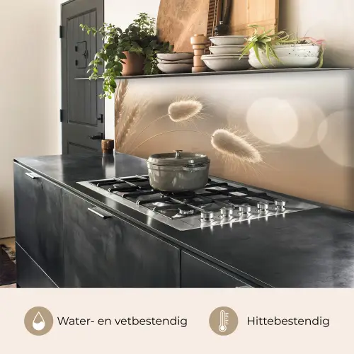 Hazestaartgras - Graanharen - Zonlicht keuken achterwand 2 middel -usp_NL