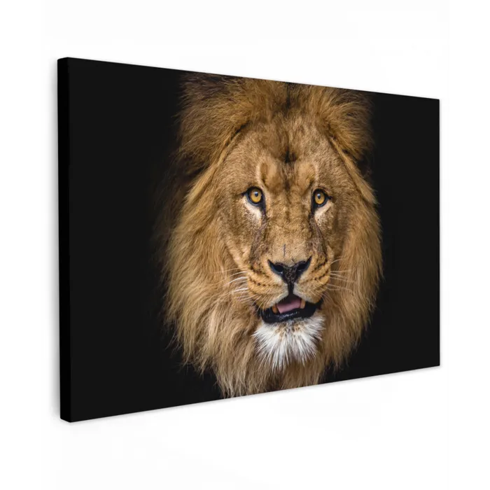 Leeuw - Portret - Zwart - Dieren Tuinposter op houten frame 2 cm dik klein -3d