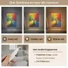 Boom - Kleurrijk - Modern - Abstract Light Box met kabel (Tafellamp) klein -USP_lichtkleurNL