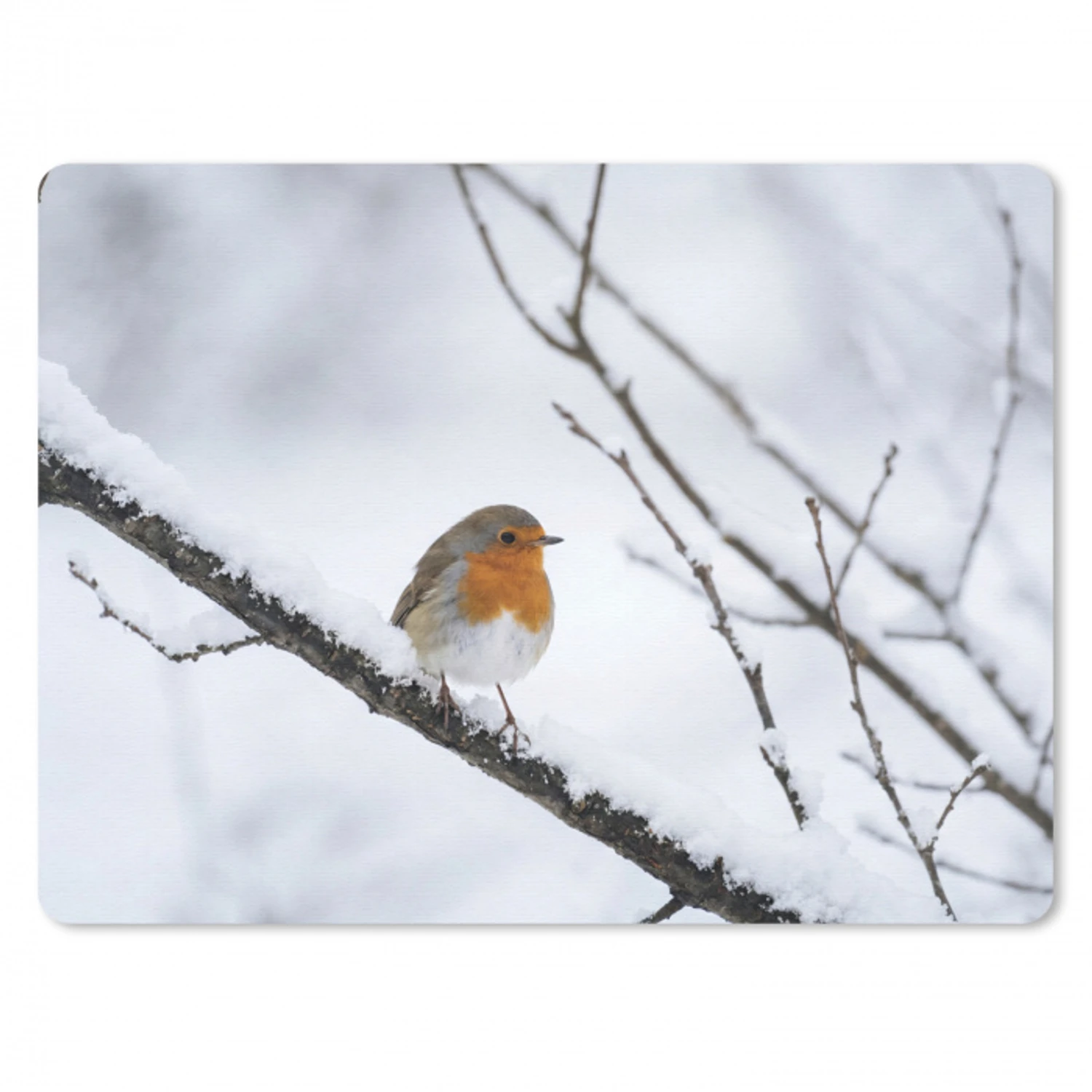 Roodborstje - Tak - Sneeuw - Winter - Levendig muismat rubber klein -3d