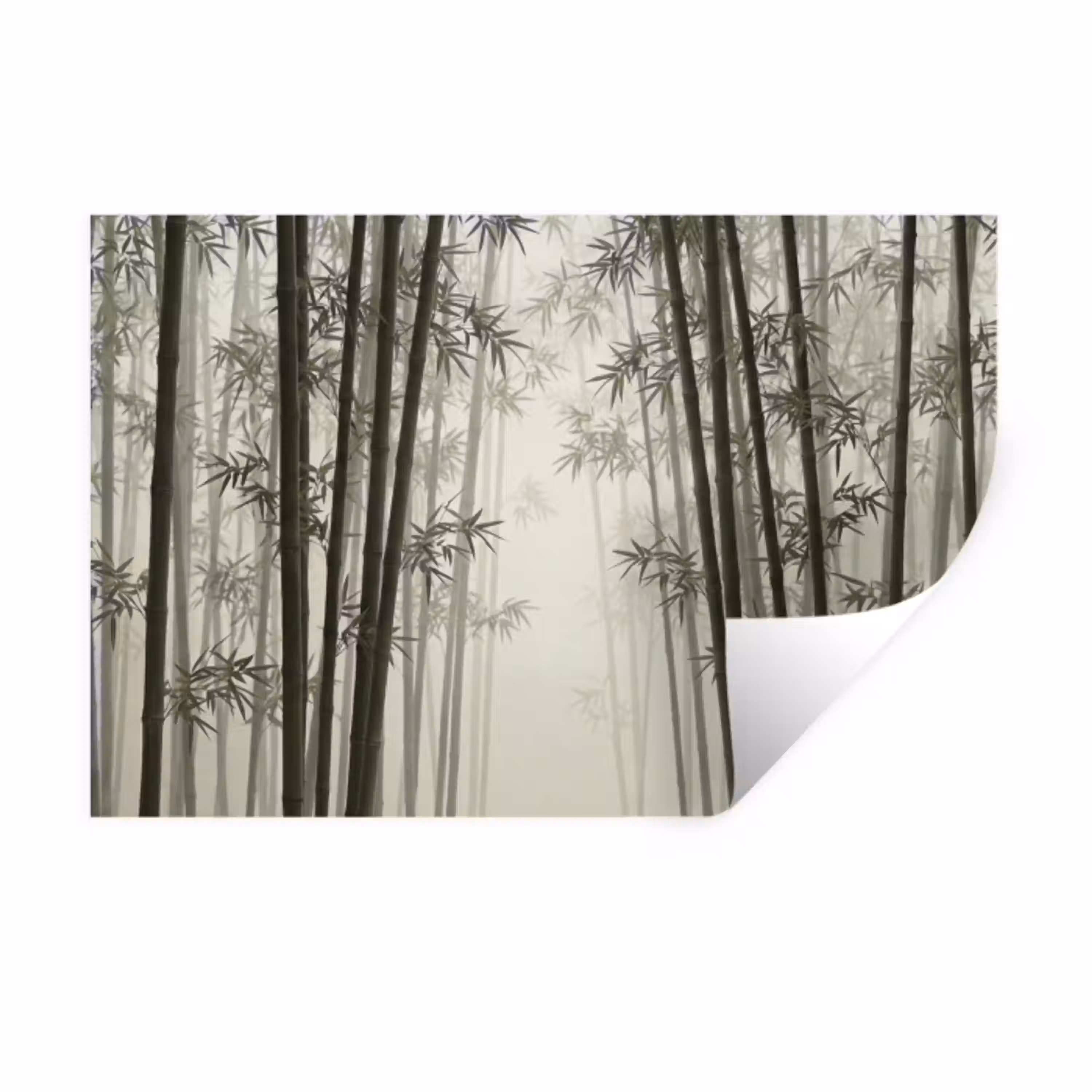 Bamboe - Bos - Mist - Natuur Muursticker klein -3d