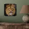 Leeuw - Portret - Zwart - Dieren plexiglas 5mm klein -sfeer3