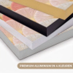 Waaiers - Goud - Roze Textielframe zwart klein 947 -USP_kleurenNL
