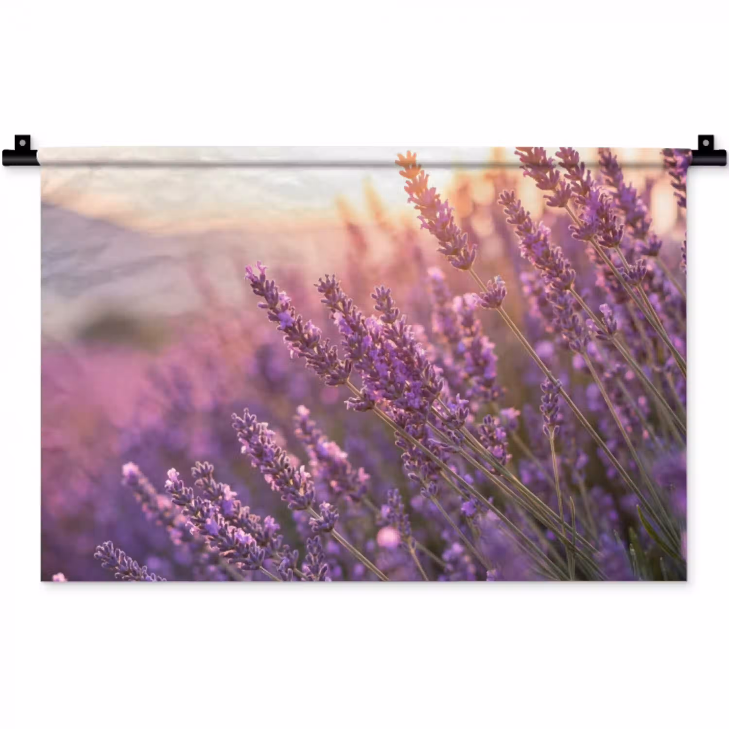 Lavendel - Paars - Zonlicht Wandkleed katoen klein -zz3d