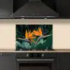 Paradijsvogel - Bloem - Exotisch keuken achterwand spatscherm klein -sfeer1