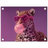 Panter - Zonnebril - Kauwgombel - Roze tuinposter los doek klein -3d