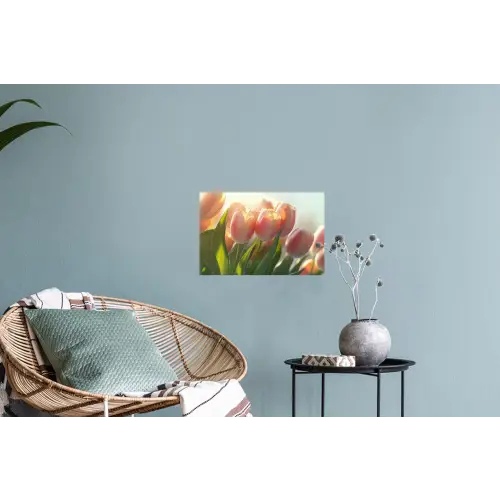 Tulpen - Roze - Zonnestralen Muursticker klein -plant