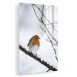 Roodborstje - Tak - Sneeuw - Winter - Levendig plexiglas 5mm klein -zzzproduct_nieuw