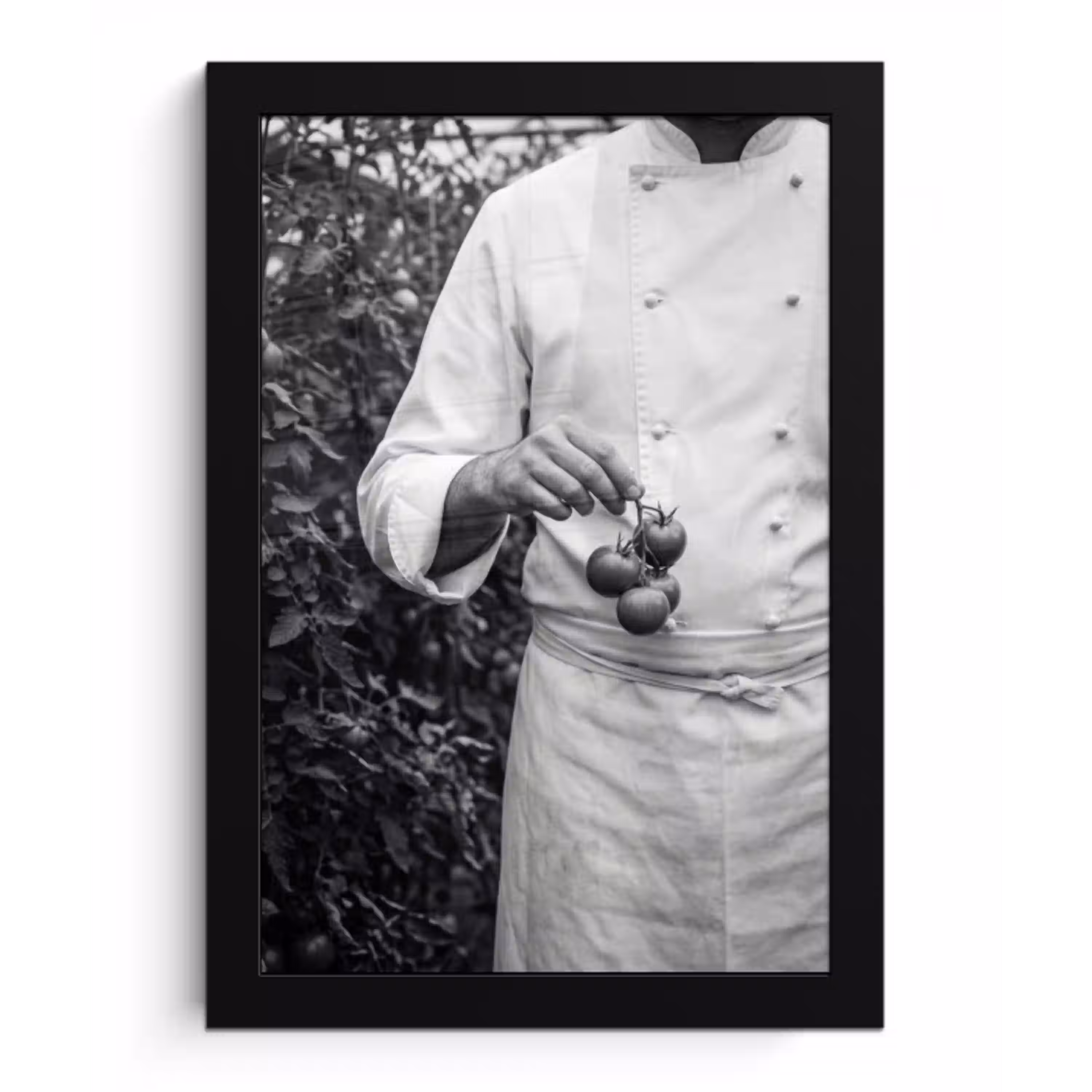 Tomaten - Chef - Zwart - Wit fotolijst zwart zonder passe partout klein -3d