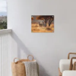 Zebra's - Savannelandschap - Gras tuinposter los doek klein -sfeer8
