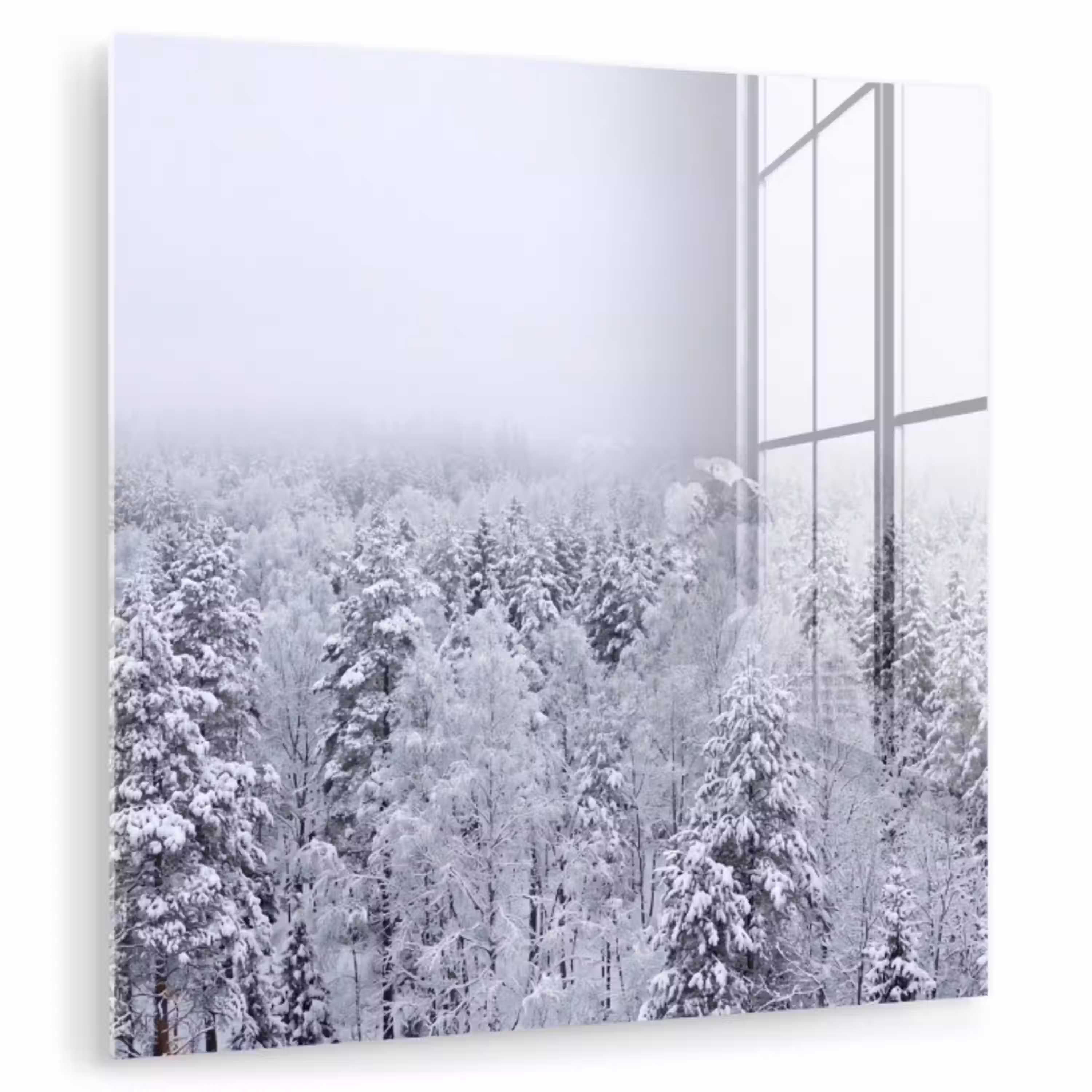 Bos - Sneeuw - Winter - Natuur - Wit plexiglas 5mm klein -zzzproduct_nieuw