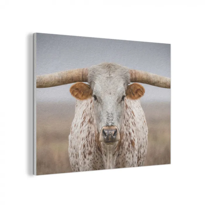 Longhorn - Grasveld - Dier PET vilt klein -3d