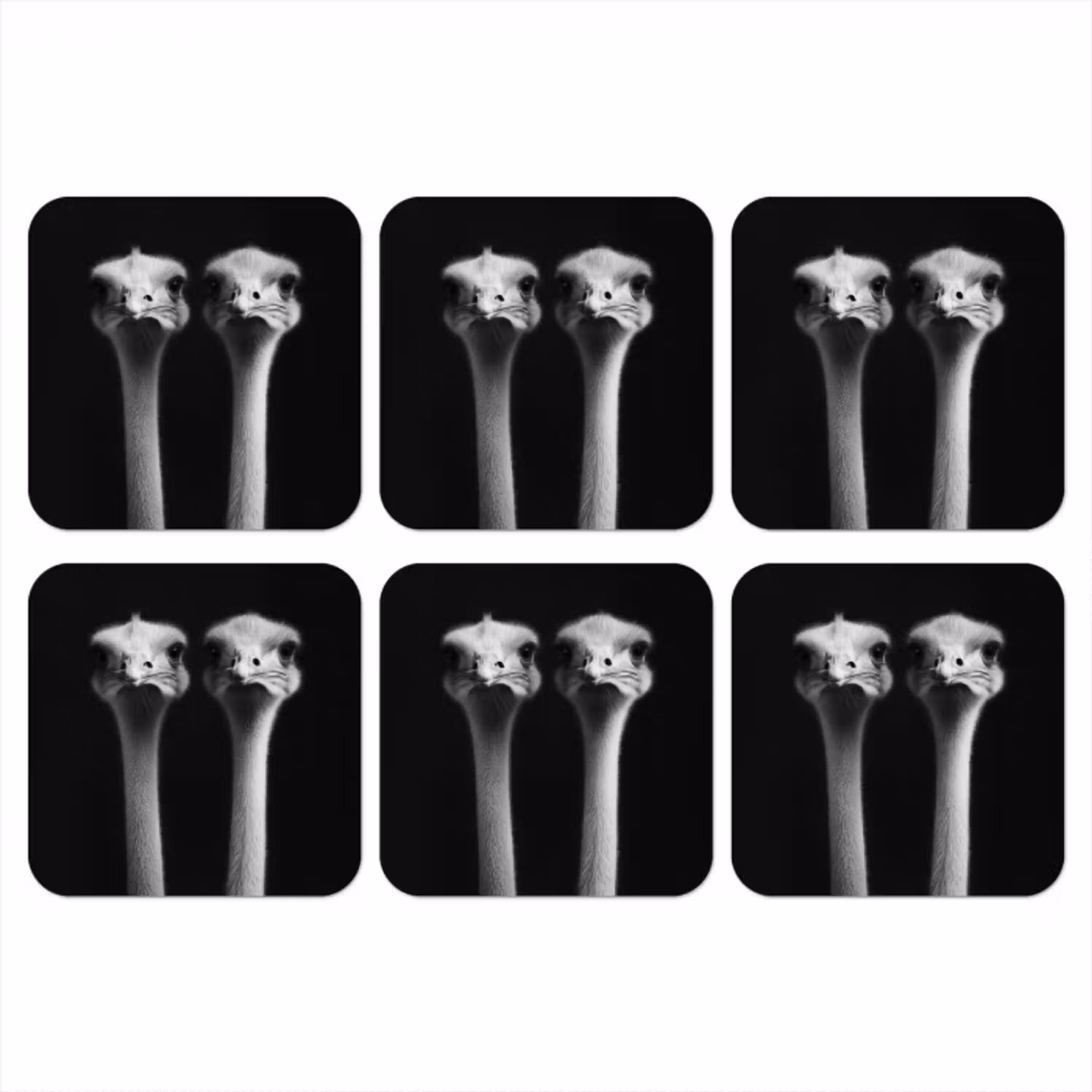 Struisvogels - Halzen - Zwart - Minimalistisch onderzetter kurk middel -3d