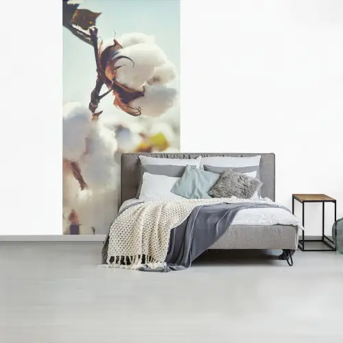 Katoenplanten in de natuur fotobehang vinyl groot -slaapkamer