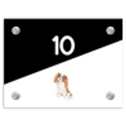 Zwart wit - Huisdier - Cavalier King Charles Spaniël Naambord Rechthoek middel -3d