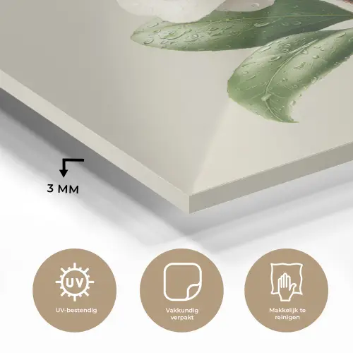 Cameliabloem - Wit - Groen plexiglas 5mm klein -sfeer2