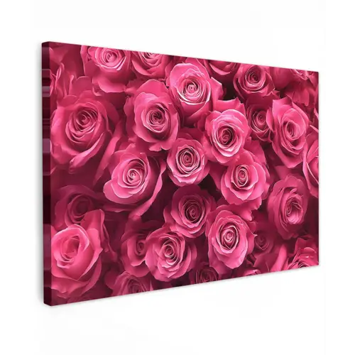Rozen - Pink - Bloem canvas 2cm klein -z3d